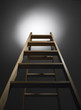 Reach the light