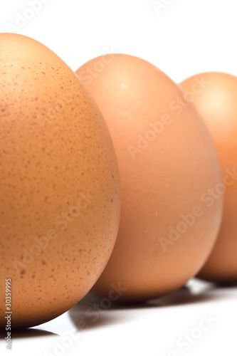 Photo: Egg Standing Portrait Egg Standing Portrait
