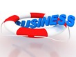 Business Rescue