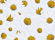 blumen