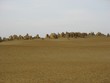 Australia - Nambung National Park - Pinnacles