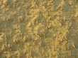 Australia - Nambung National Park - Pinnacles