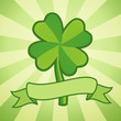 Clover with four leaves