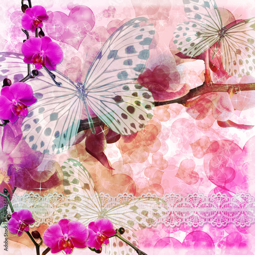 Illustration: Butterflies and orchids flowers pink background ( 1 of set) Butterflies and orchids flowers pink background ( 1 of set)