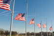 Row American Flags Halbmast Washington DC USA