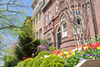 Spring Tulips Richardsonian Romanesque Row Houses
