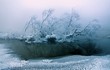Photo: Winter landscape Winter landscape