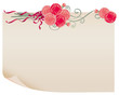old paper and carnation
