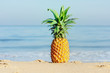 Pineapple near sea