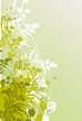 feuillage été