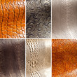 Collage: leather Collage: leather