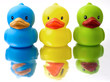 duckey