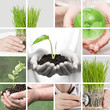 Photo: development collage development collage