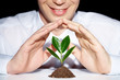 Preserve a plant