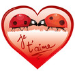 Coeur Je t'aime et coccinelles, vecteur Coeur Je t'aime et coccinelles, vecteur