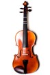 Violon