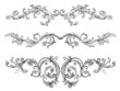 Ranken, Blätter, Laub, Ornamente, vector, filigran, flora