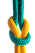Rope with marine knot on white background