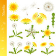Dandelion Icons Set Dandelion Icons Set