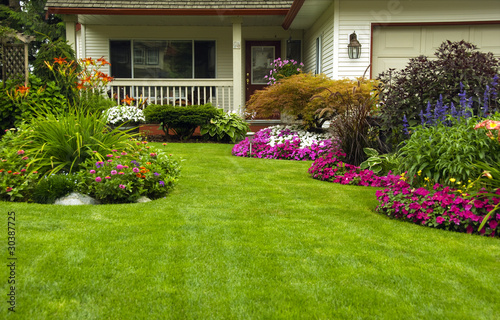 Photo: Manicured Spring Summer Residential yard Manicured Spring Summer Residential yard