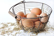 oeufs dans panier et paille oeufs dans panier et paille