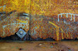 Rust Colors