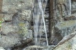 Cataract