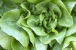 vegetables is green vegetables is green