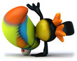 Toucan Toucan