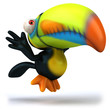 Toucan Toucan