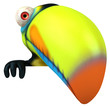 Toucan Toucan