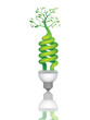 ECO tree BULB