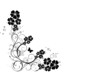 coion floral noir