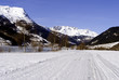winter landscape