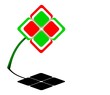 Quadrifoglio tricolore