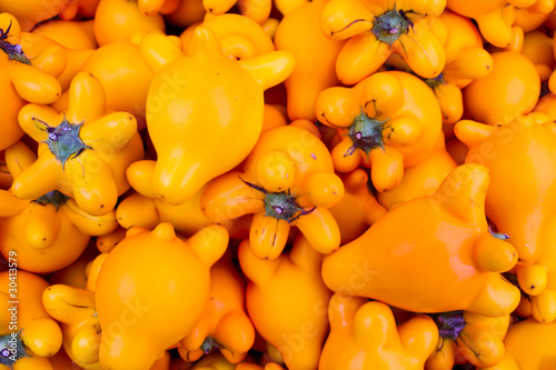 Photo: Orange solanum mammosum Orange solanum mammosum