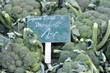 Lecker Broccoli