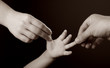 hands