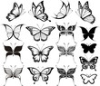 butterflies clipart fashionable