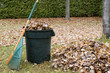 Autumn leaves in a garbage can