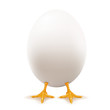 White Egg