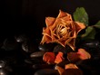 Withered rose on pebbles