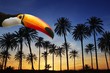 toco toucan bird in tropical palm tree sunset sky toco toucan bird in tropical palm tree sunset sky
