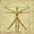 Vitruvian mannequin Vitruvian mannequin