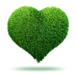 heart symbol made of grass