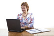 Happy smiling businesswoman working on a laptop