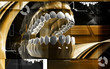 Mouth