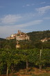 Scrofiano, panorama