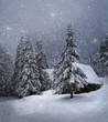 winter landscape