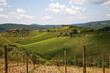 Chianti, vigneti